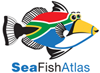 Sea Fish Atlas